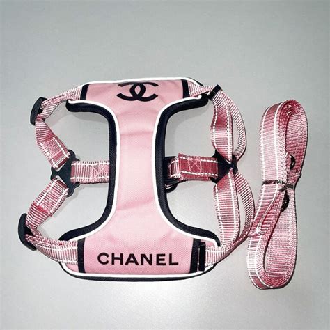 chanel dog accessories